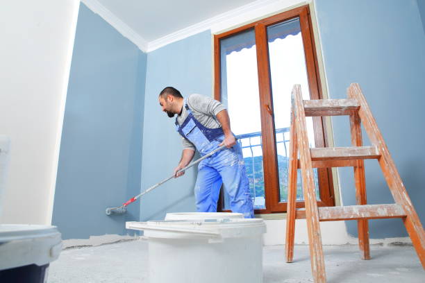 Best Mold Removal for HVAC Installations  in Lake Summerset, IL