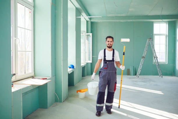 Best Emergency Mold Remediation  in Lake Summerset, IL