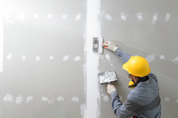 Best Real Estate Mold Inspection  in Lake Summerset, IL