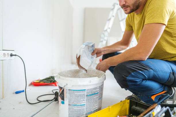 Best Black Mold Removal  in Lake Summerset, IL