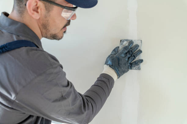 Best Residential Mold Inspection & Testing  in Lake Summerset, IL
