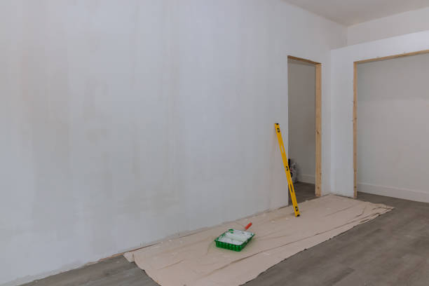 Best Comprehensive Air Testing for Mold Contaminants  in Lake Summerset, IL
