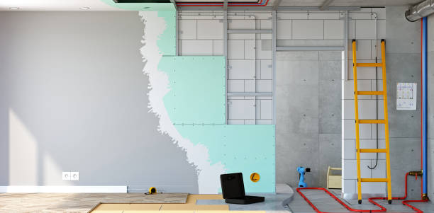 Best Asbestos and Lead Testing During Mold Inspection  in Lake Summerset, IL