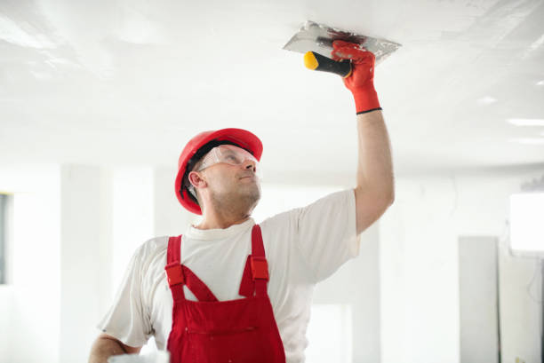 Best Crawl Space Mold Remediation  in Lake Summerset, IL