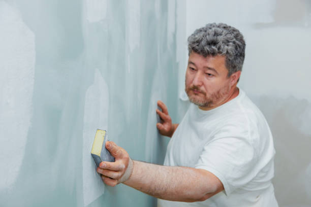 Best Mold Documentation for Insurance Claims  in Lake Summerset, IL