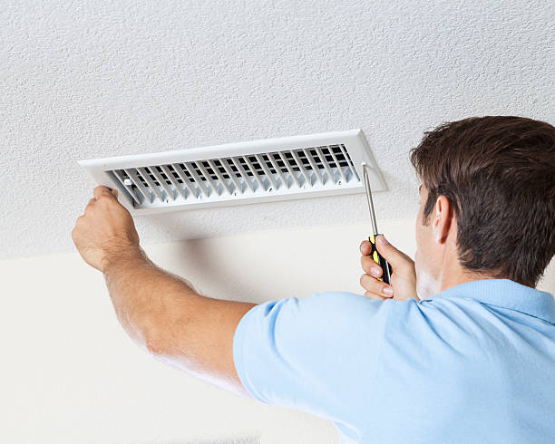 Professional Mold Removal in Lake Summerset, IL