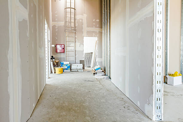Best Airborne Mold Testing  in Lake Summerset, IL